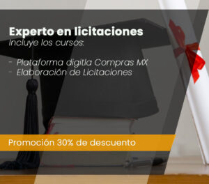 Ciclo de cursos experto en licitaciones