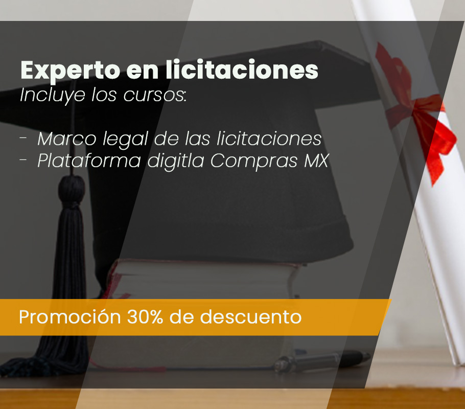 Ciclo de cursos experto en licitaciones octubre del 2025