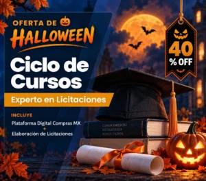 Ciclo de cursos experto en licitaciones